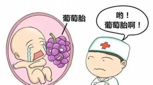 郑州借卵生子试管医院排名公布，附2023河南供卵生男孩医院名单-南宁高速公路