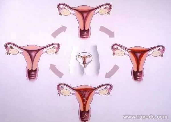 苏州助孕试管选性别_去泰国做试管婴儿，从三方面提高囊胚着床率